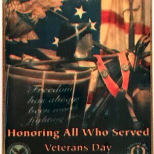 Veteran's Day Pins (6)